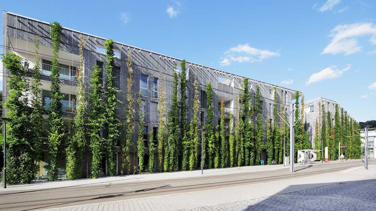 Das Foto zeigt die begrünte Außenfassade des Hotels Green City mit dem Stadthaus M1 in Vauban